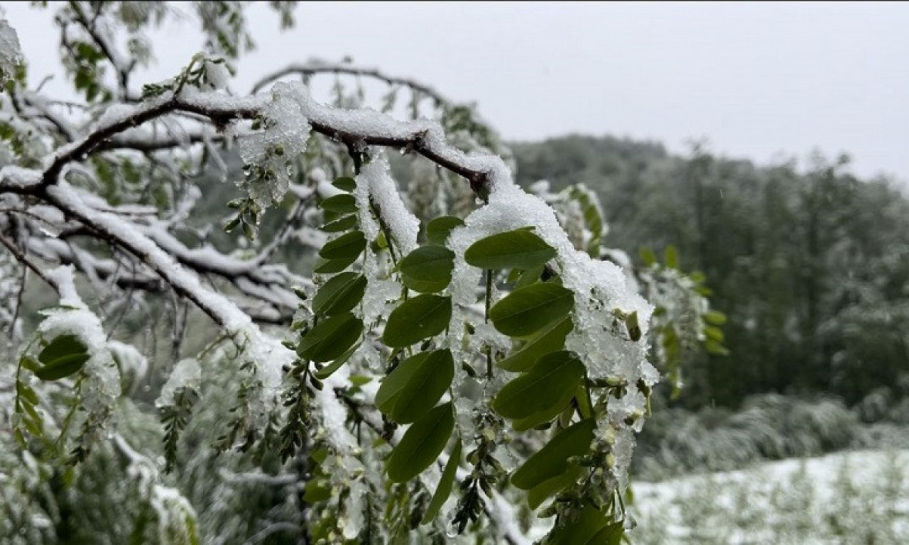 SAMO DA PROĐE 8. APRIL Dešava se ono čega se voćari najviše plaše - evo zašto mole Boga da dođe ovaj datum (FOTO)