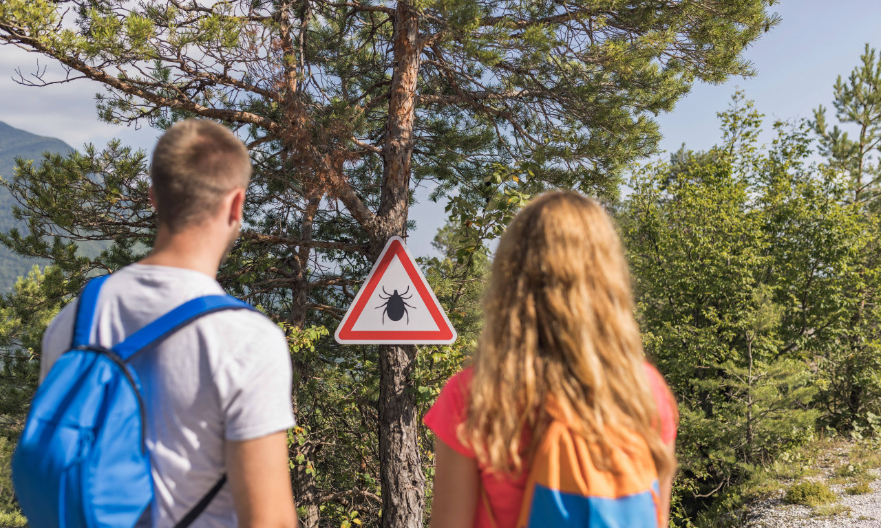 OPASNOSTI I KRPELJI Uklanjanje u prvih 24 sata je ključno – zašto je važno da to uradi stručnjak