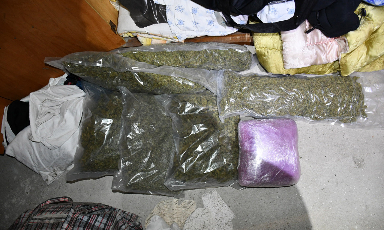 UHAPŠENI DILERI U NIŠU I ALEKSINCU! Policija im pronašla ogromne količine droge (FOTO)