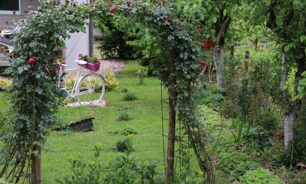 DRVENE PODLOGE I LUK ZA CVEĆE Kako da terasa i bašta zablistaju za manje od 7.000 dinara (VODIČ)