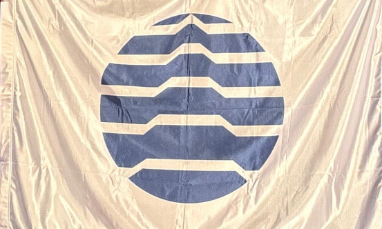 POJAVIO SE EKSPO NOVČIĆ Evo kolika mu je vrednost - pogledajte kako izgleda (FOTO)