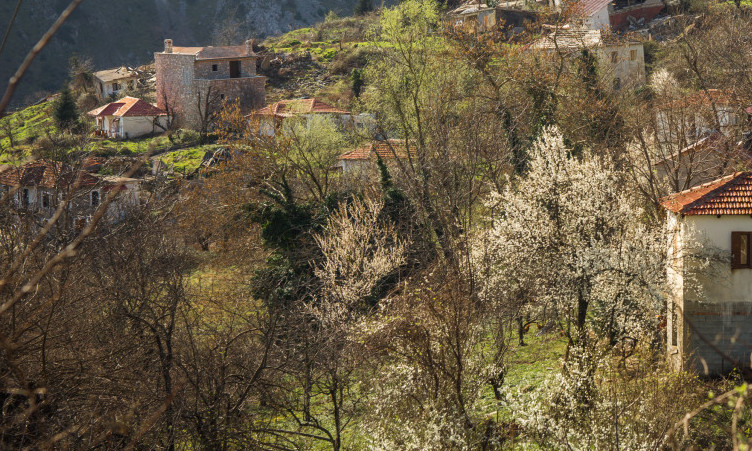 ŽENA SE SRUŠILA PRED OČIMA SRPSKOG LEKARA U GRČKOJ: Velika drama, sinovi gledali u šoku!