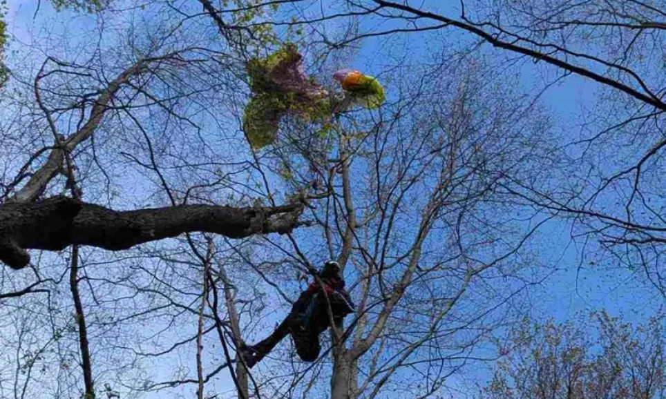 GORSKA SLUŽBA SPASAVANJA DOBILA HITAN POZIV: Odmah se uputili na Frušku Goru, a onda je usledila akcija! (FOTO)