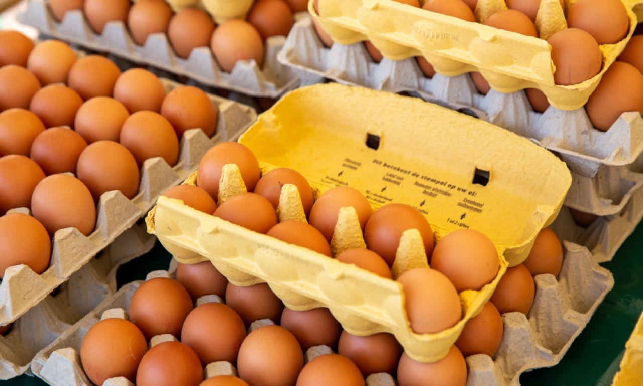 HITNO SE POVLAČE JAJA A KLASE IZ PRODAJE Stiglo upozorenje kupcima - pronađena salmonela