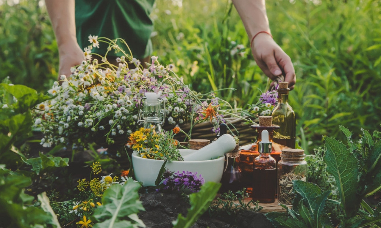 ZA SVAKI BOL – PO JEDNA BILJKA Prirodni recepti iz Rusije koje vredi probati