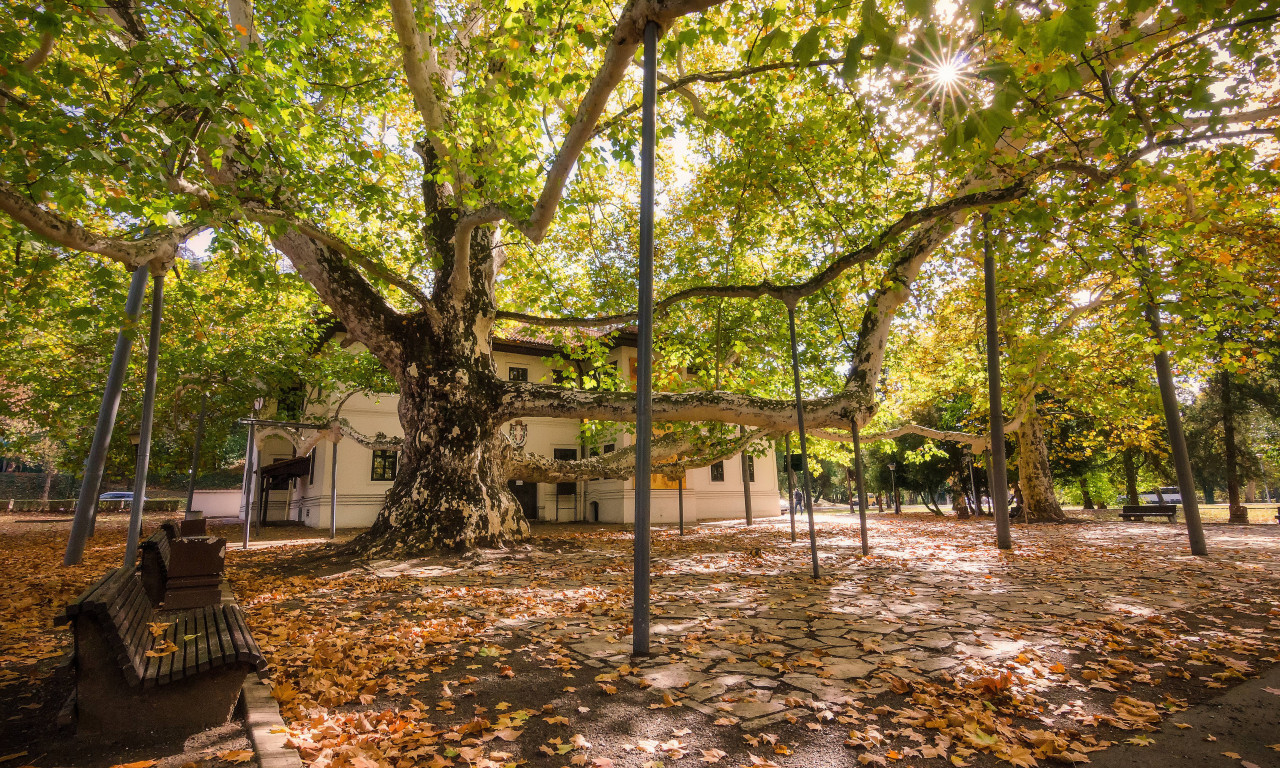 EKSPLOZIJA NA TERASI RESTORANA MILOŠEV KONAK Detalji stravičnog napada u Beogradu