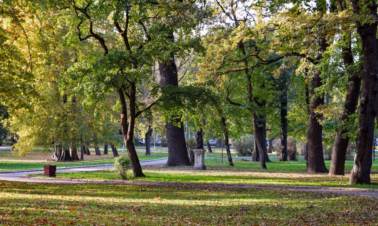 MLADIĆ (18) RANJEN POSLE SVAĐE OKO DEVOJKE Novi detalji krvavog pira kod Topčiderca