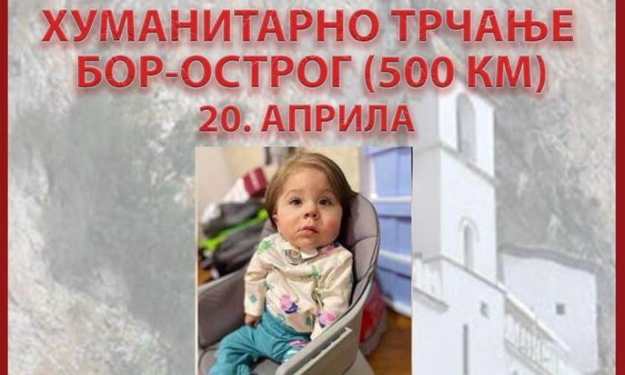 SRĐAN, NENAD I MATIJA TRČE ZA MALENOG VUKA! Kakav podvig borskih sportista - evo kako vi možete da pomognete (FOTO)