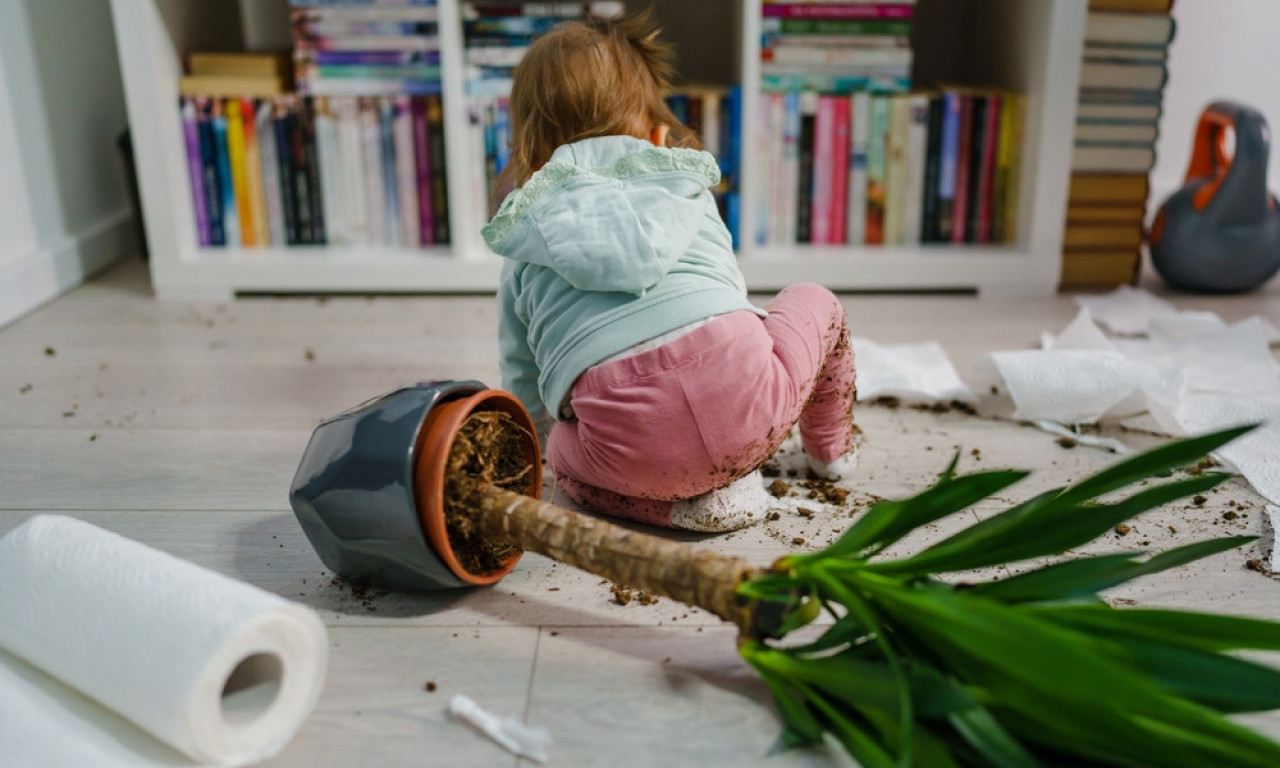DRUGO DETE JE NEMIRNIJE Nauka sada i zvanično stala na stranu svih iscrpljenih roditelja