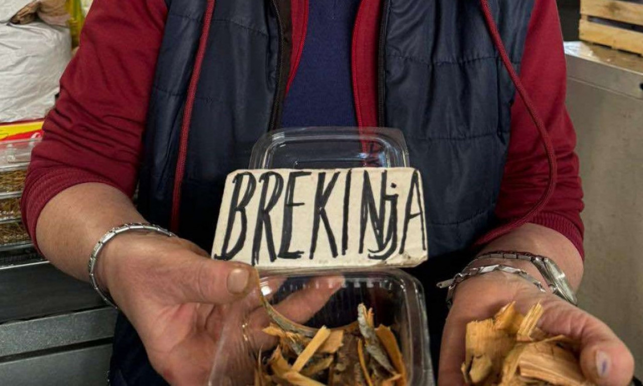 DA LI STE ČULI ZA BREKINJU? Raste samo na retkim mestima, jedna stvar joj posebno diže cenu - evo šta leči