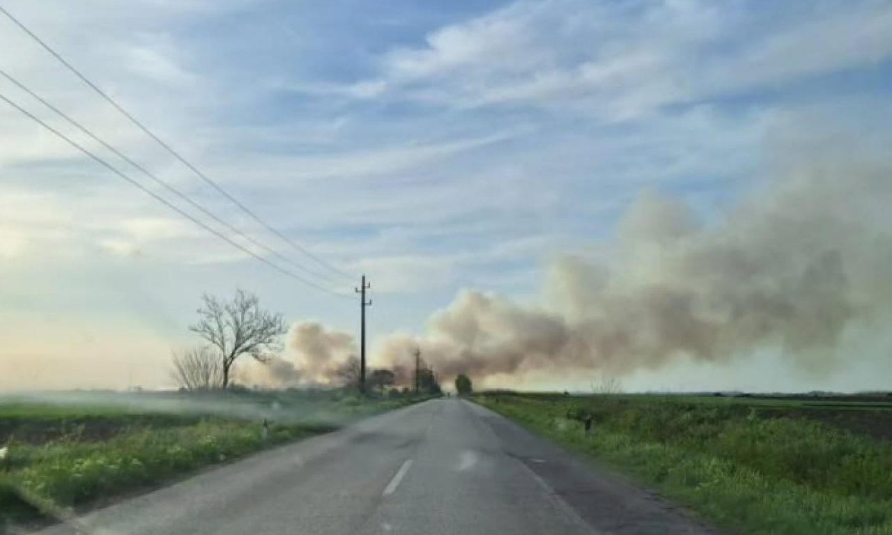 IZBIO POŽAR U ŽABLJU Gusti dim vije se na sve strane (FOTO)