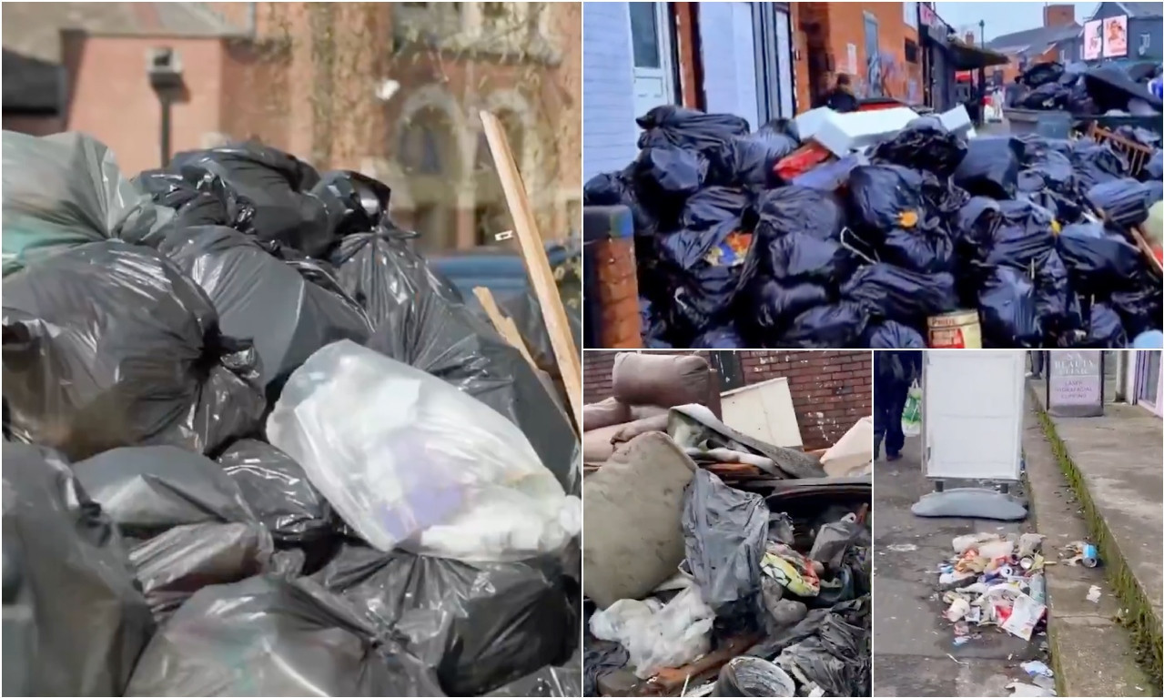 SMRAD, SMEĆE I PACOVI U EVROPSKOM GRADU Ljudi povraćaju od smrada, životinje umiru od otrova (FOTO + VIDEO)