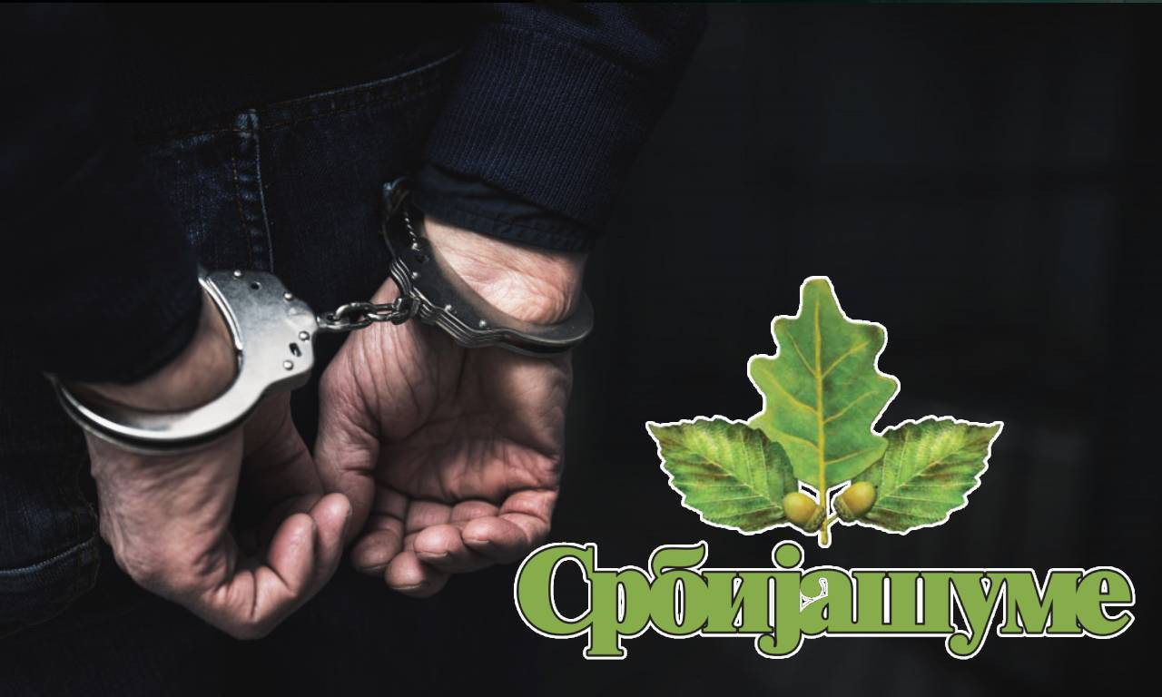 OŠTETILI "SRBIJA ŠUME" ZA VIŠE OD 3 MILIONA! Masovno hapšenje u Srbiji, nastavlja se borba protiv korupcije