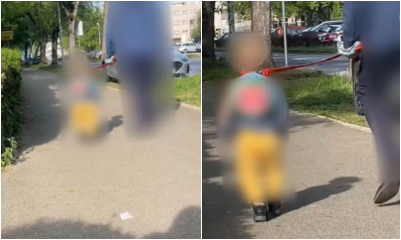 GDE JE CENTAR ZA SOCIJALNI RAD SAD? Video deteta na povocu šokirao građane: Dotakli smo dno dna kao društvo