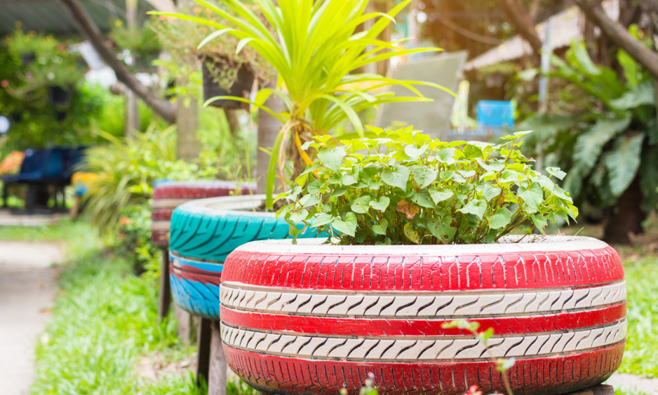 SAM SVOJ MAJSTOR Napravite najlepše saksije za vašu terasu!