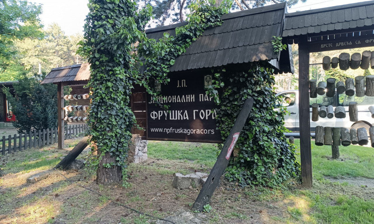 OPREZNO NA FRUŠKOJ GORI Izdato hitno upozorenje, on je pobegao - ne prilazite mu, snažan je! (FOTO+VIDEO)