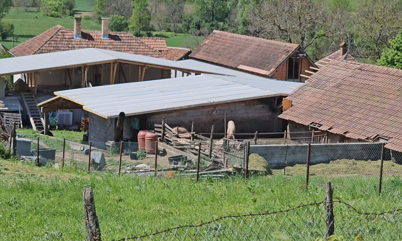 PLAČ PARA NEBO, CELA TOPOLA DANAS NA GROBLJU Sahrana članova porodice Jokić koji su stradali u septičkoj jami