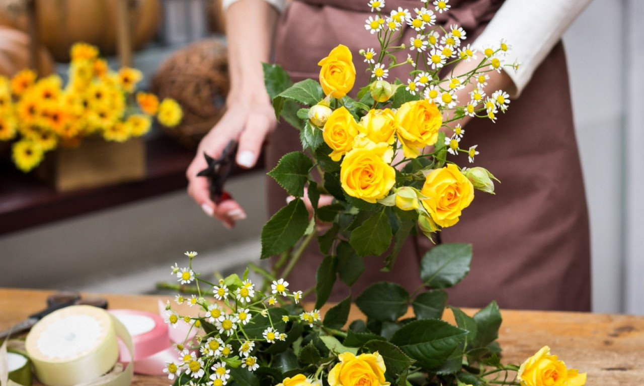 ŠTA KUPITI ZA ARANĐELOVDAN Ideje za brze, domaćinske i prikladne poklone