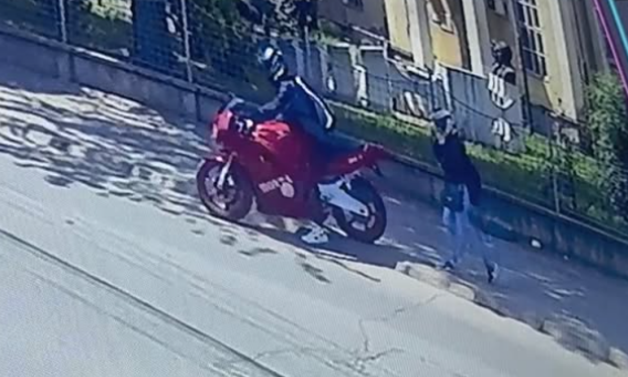 POLITIČARKI IZ NIŠA POKUŠALI DA UBIJU PSA: Objavila sve detalje, ali i fotografije, jezive povrede (FOTO)