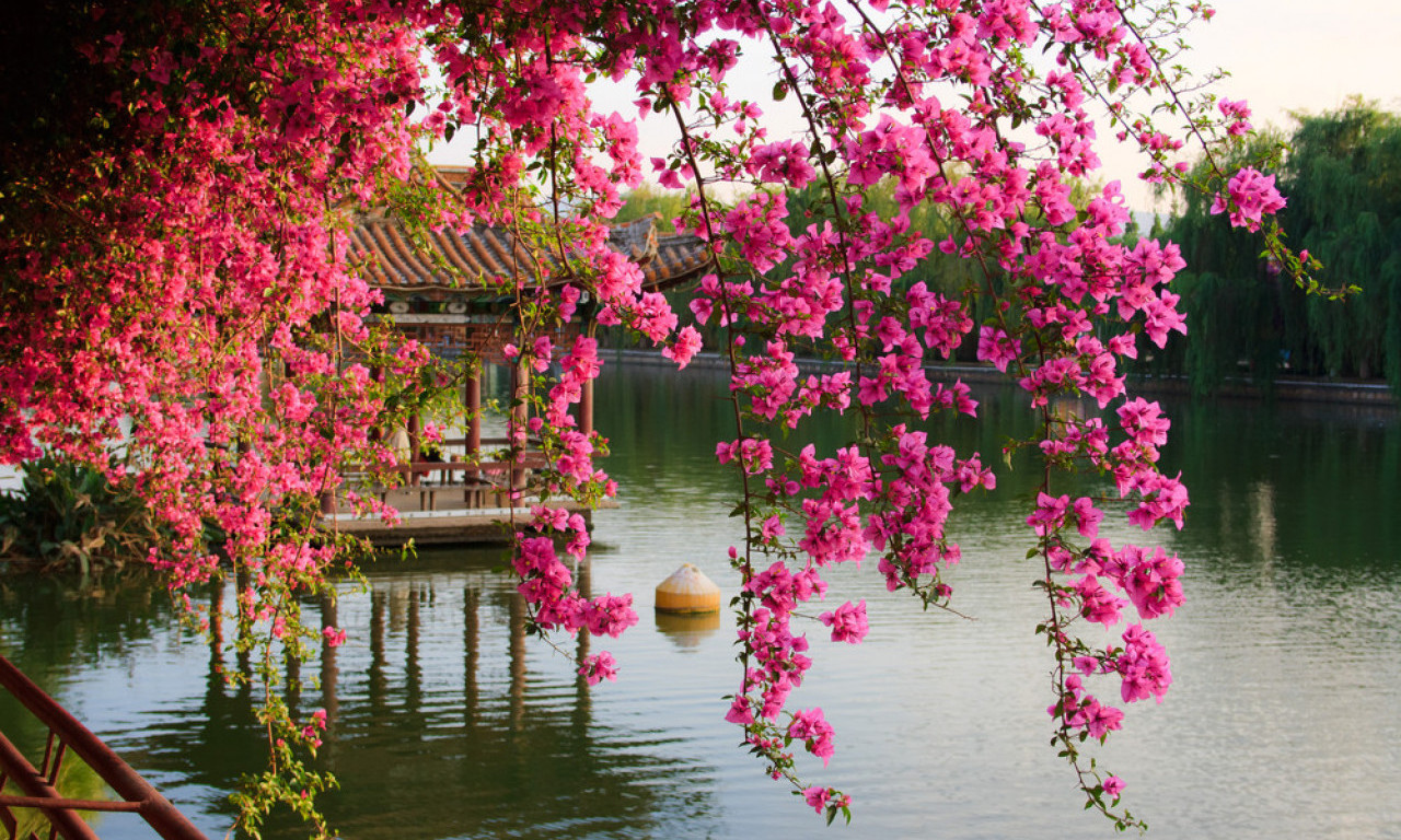 KINESKI HOROSKOP ZA MAJ 2025. Ko će zablistati, a ko mora da uspori – astro smernice koje valja poslušati