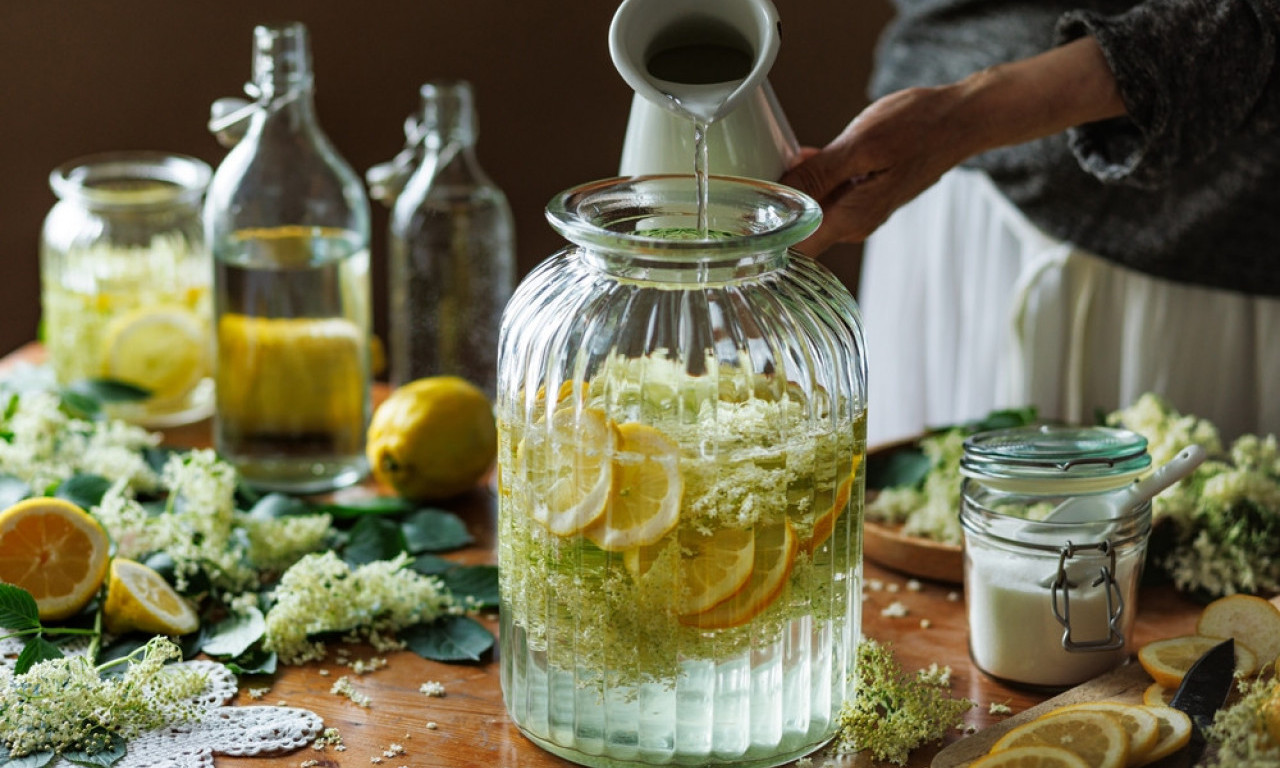 KAKO SE PRAVILNO BERE ZOVA Osam zlatnih pravila koje treba znati