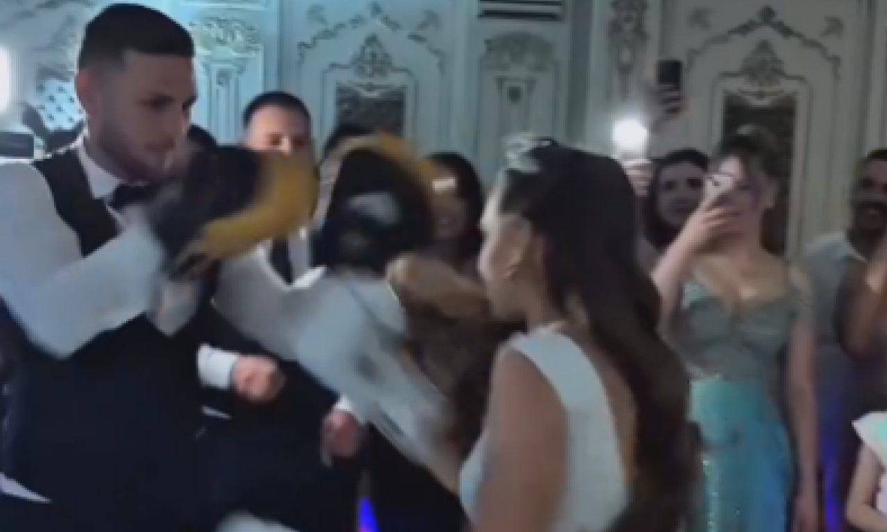 UMESTO PRVOG PLESA TUČA Mladenci se pobili pred svim gostima na svadbi! Pogledajte ovaj haos (VIDEO)
