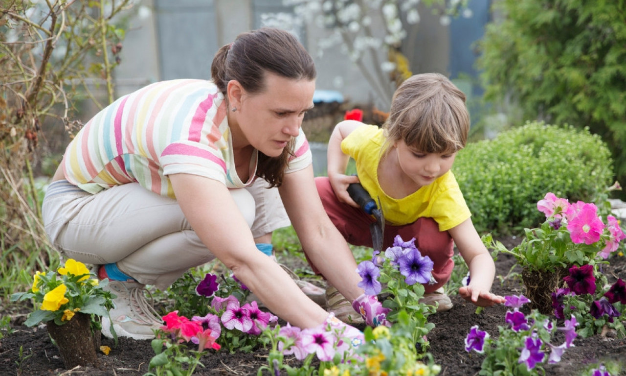 MAJSKA SADNJA CVEĆA 15 vrsta cveća koje će vam ulepšati dvorište ili terasu do jeseni