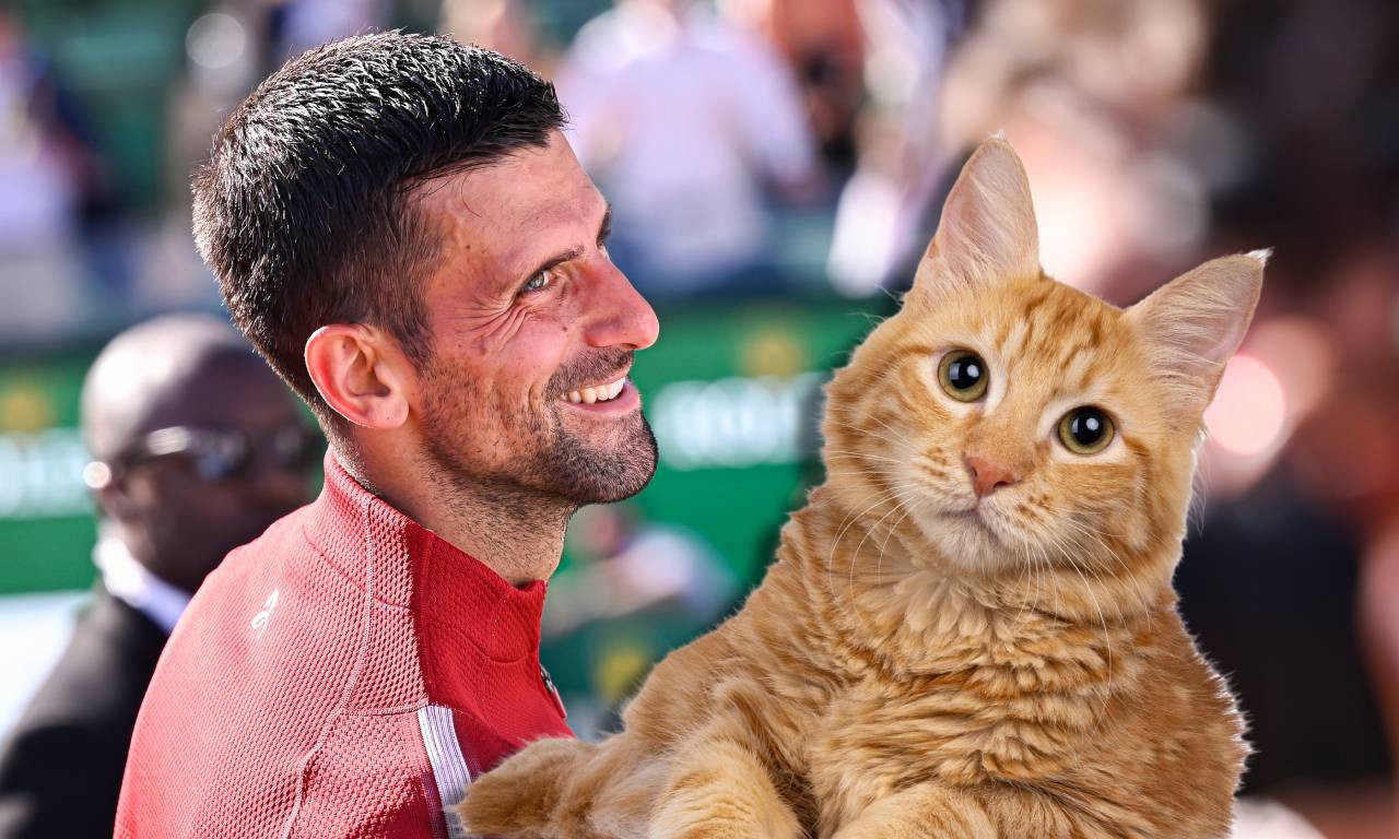 RODIK IMA "SJAJNU IDEJU": Moja mačka bi mogla da trenira Noleta