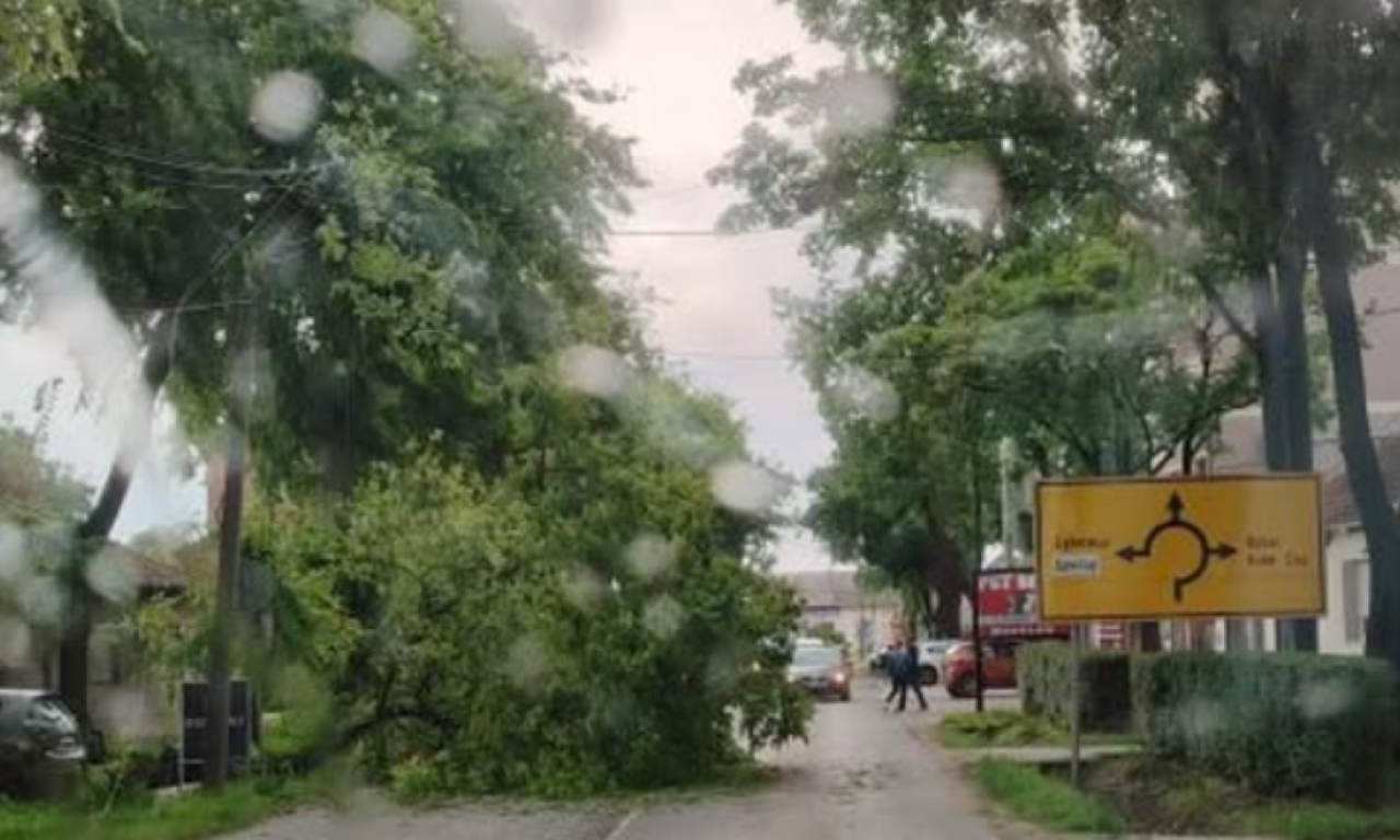 VETAR OBARAO DRVEĆE NA SEVERU SRBIJE: Sprema se jako nevreme! (FOTO/VIDEO)