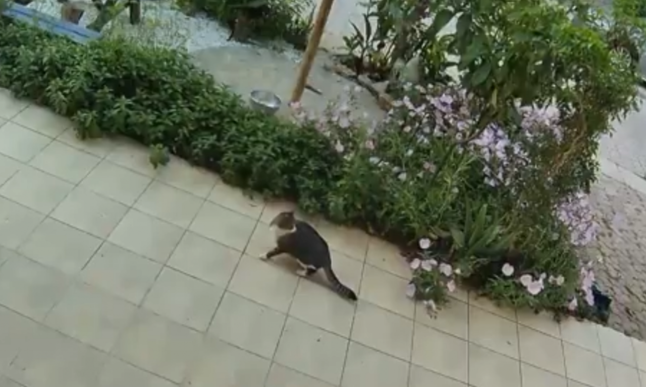 PRVI SNIMCI RAZORNOG ZEMLJOTRESA U GRČKOJ Ljudi iskakali iz kreveta, kola se tresu - scene koje bude jezu (VIDEO)