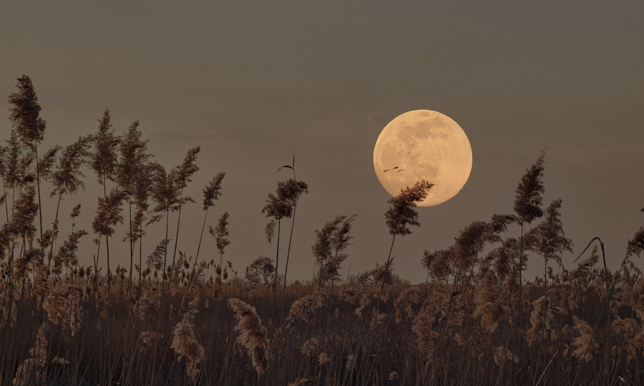 PUN MESEC IMA MOĆ! Ovo su rituali za čišćenje loše energije, prosperitet i nov početak!