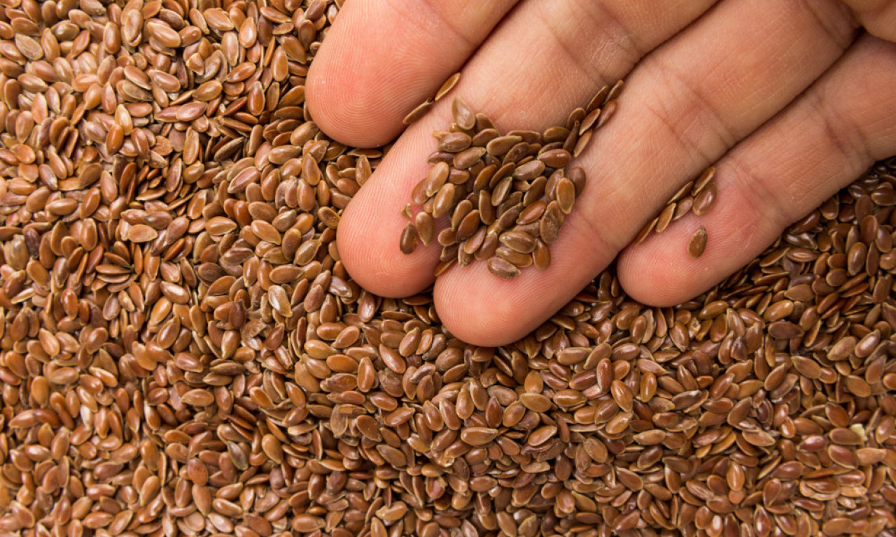 OVE NAMIRNICE SU ZDRAVIJE OD MESA Jeftine i pristupačne, a prodaju se na svakom ćošku