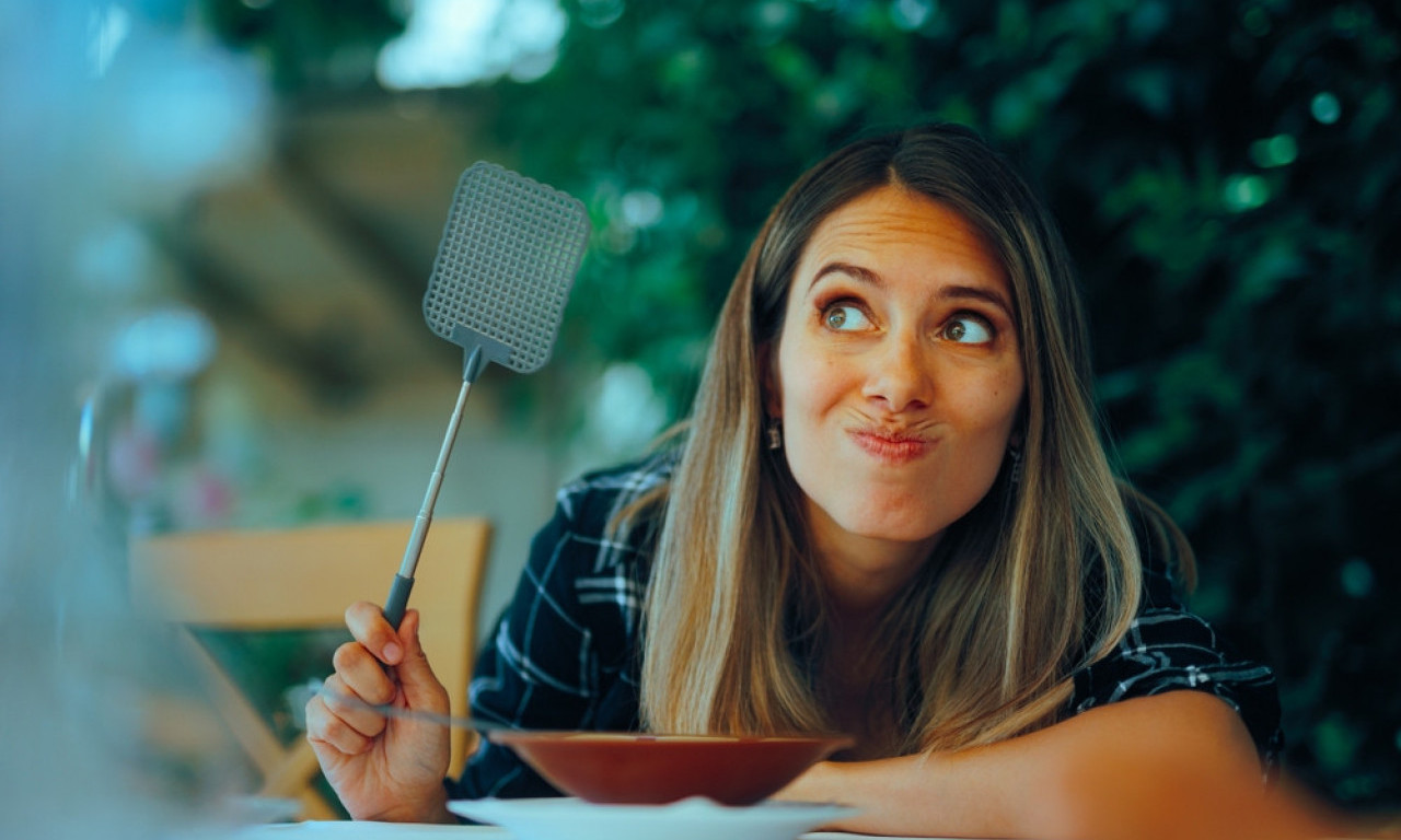 NEVEROVATNO DELUJE Uz limun i karanfilić, muve beže iz kuće u roku od 5 minuta