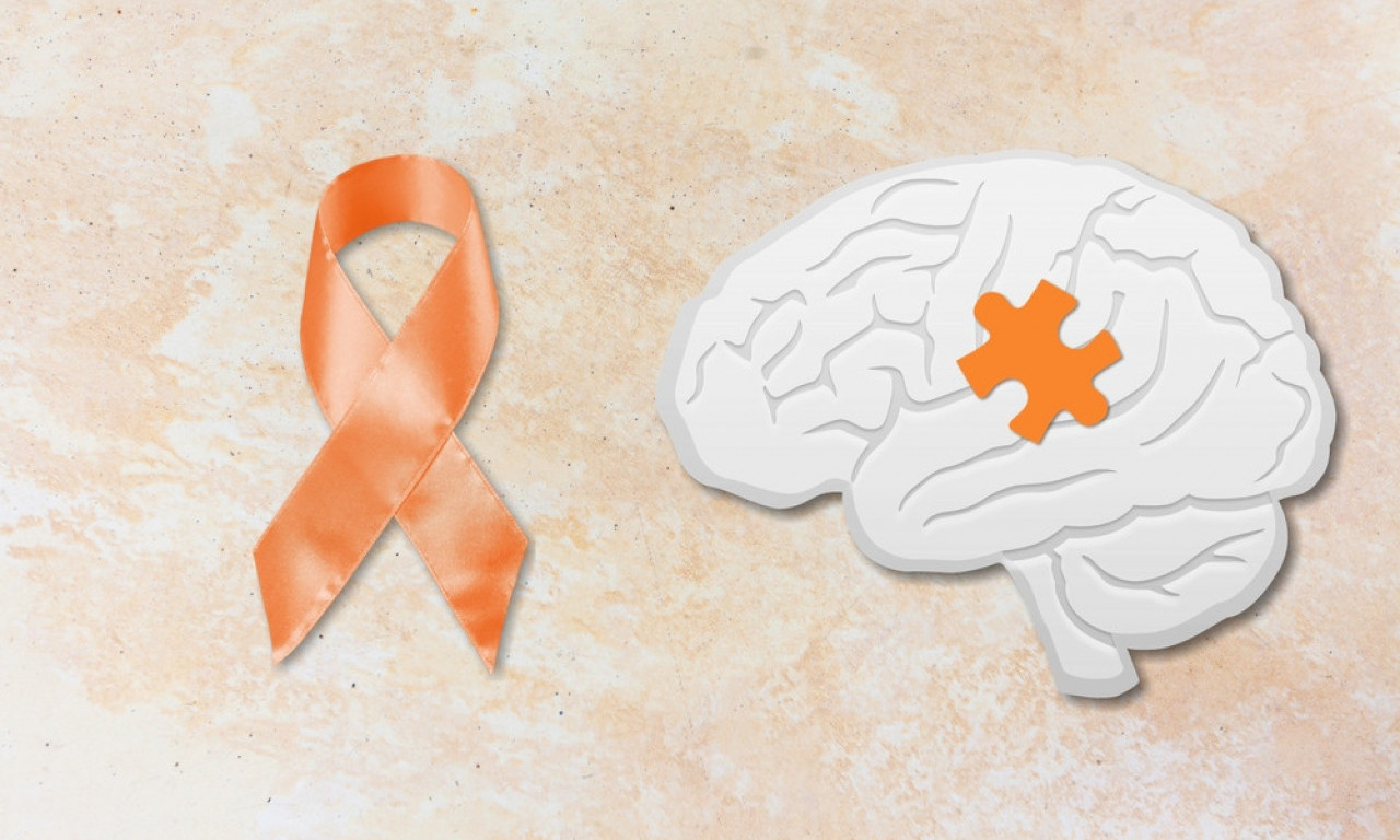 SVETSKI DAN BORBE PROTIV MULTIPLE SKLEROZE Život s bolešću koju ne vidimo, ali koju mnogi nose