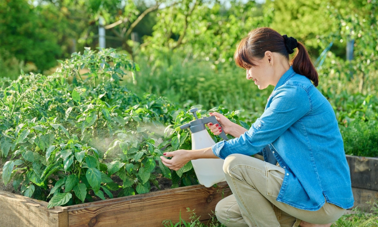 KAD PAPRIKA STRADA Šta sve vreba iz zemlje i vazduha i kako je zaštititi
