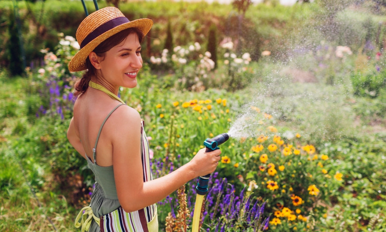 NE BACAJTE MOTIKU U TRAVU Sad se radi za jesen i sledeće proleće
