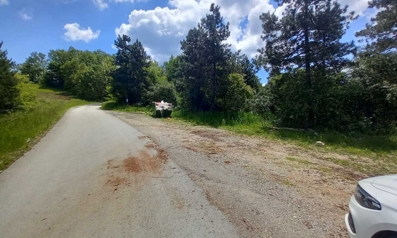 UZNEMIRUJUĆI PRIZOR U SELU KOD ČAČKA Pet pasa je mrtvo, a evo šta je zgrozilo meštane