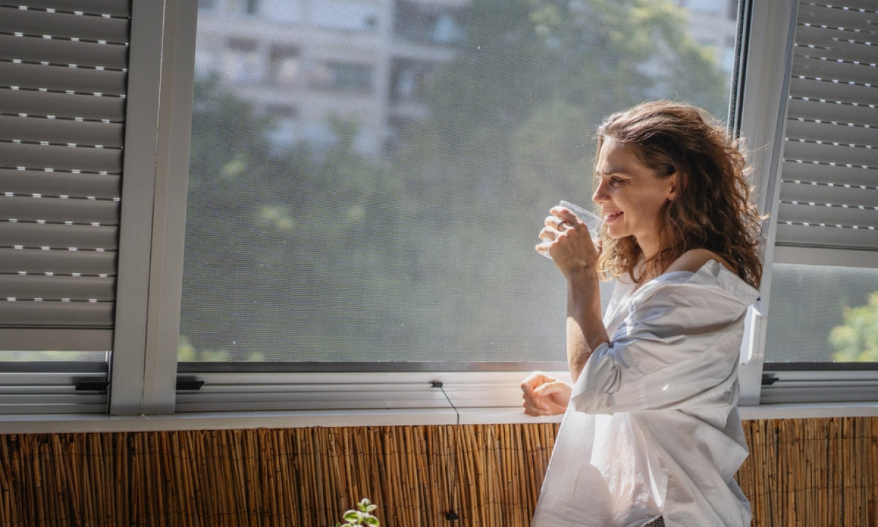 ZAŠTITA OD KOMARACA BEZ BUŠENJA! Najbolji komarnici za svaki džep i prozor
