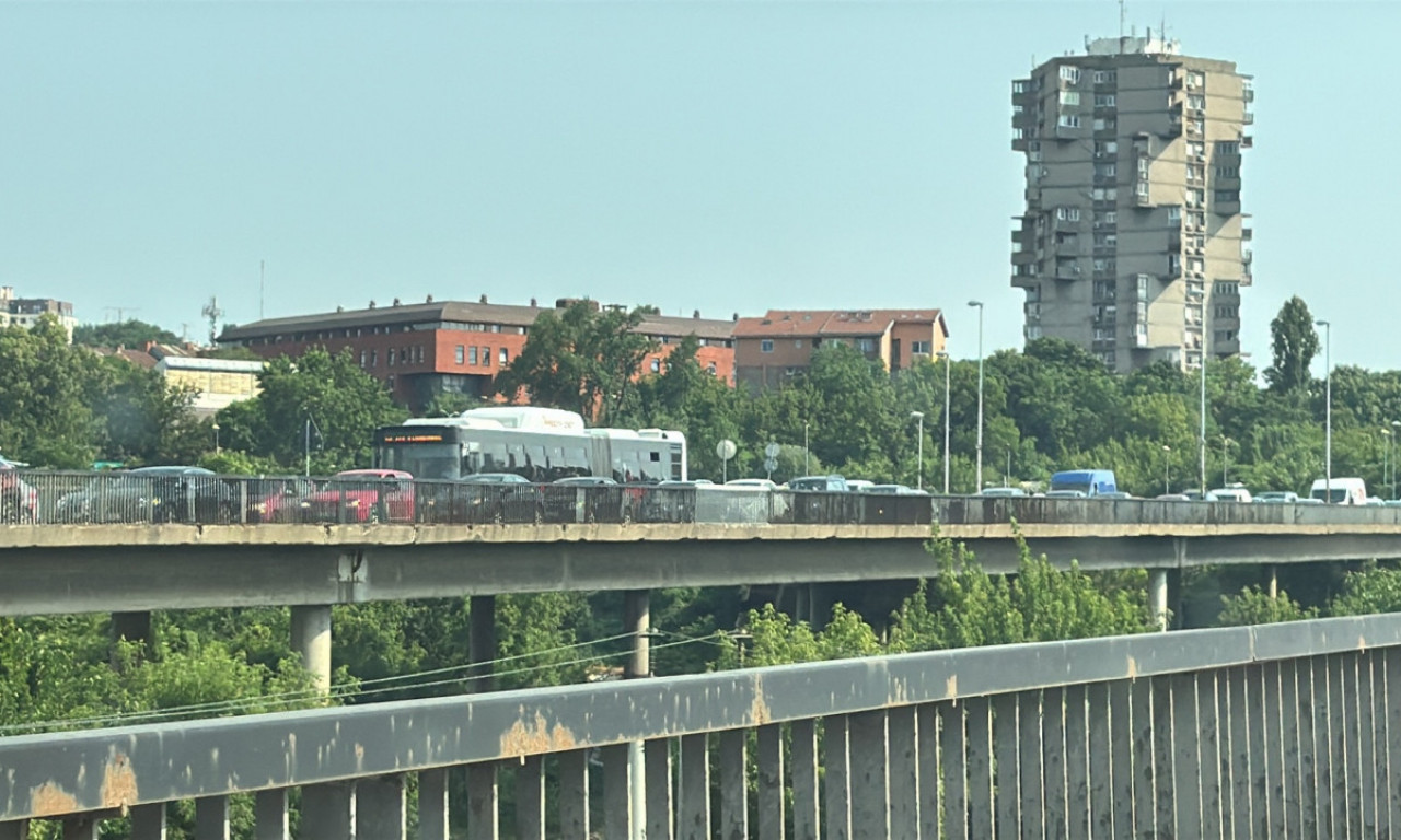DEVOJKA SKOČILA SA PANČEVAČKOG MOSTA Užas u Beogradu!