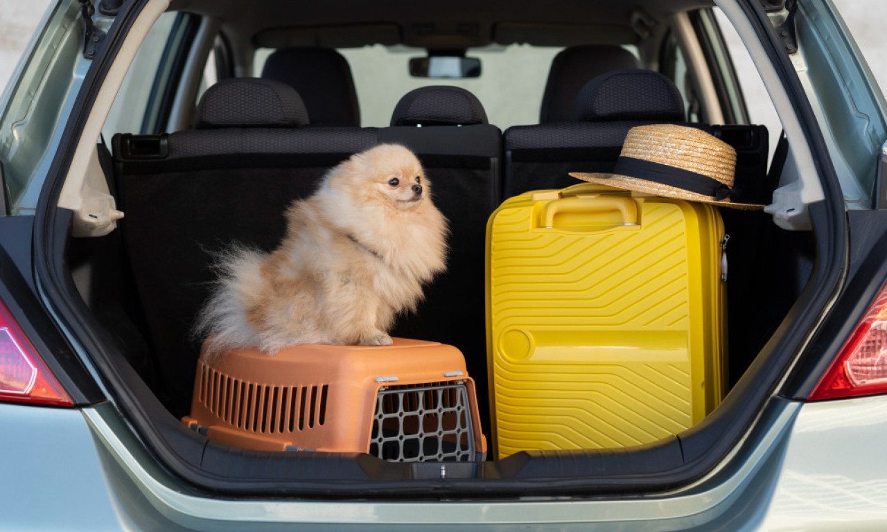 PUTOVANJE SA LJUBIMCEM Šta morate znati