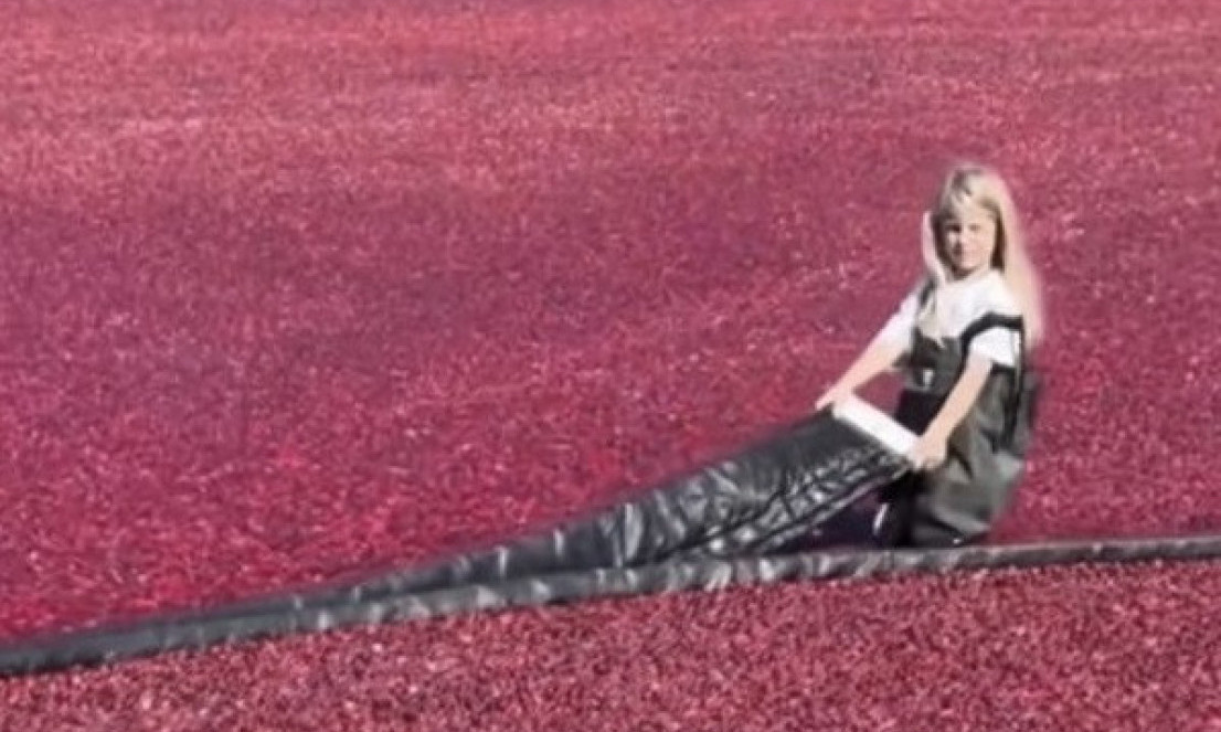 DA LI JE OVO NAJSTRAŠNIJI POSAO NA SVETU Plata je čak 12.000 dolara, ali većina radnika ne izdrži ni nedelju dana(VIDEO)