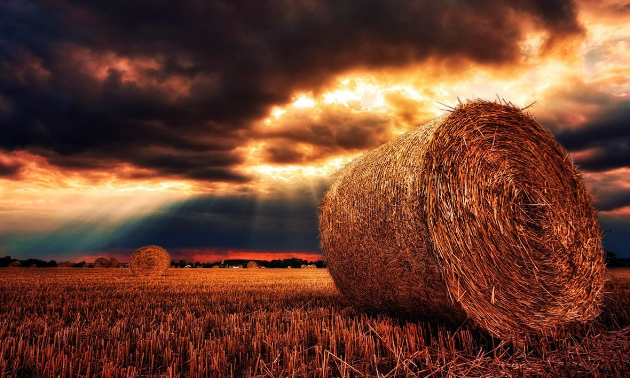 KOD KRALJEVA SNIMLJENO VILINO KOLO! Mesto koje krije natprirodne sile – legenda kaže da ko uđe, može da poludi!