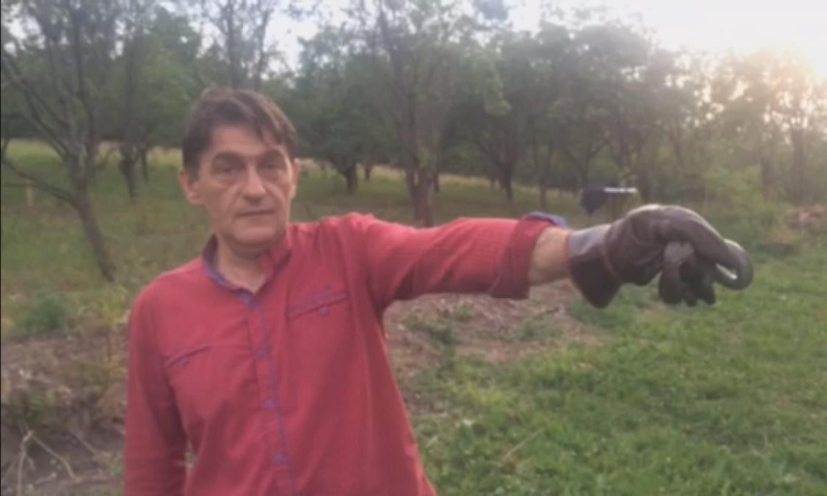 NAJEZDA ZMIJA U OVOM SRPSKOM GRADU Evo kako da izbegnete incident - jedno pravilo je ključno
