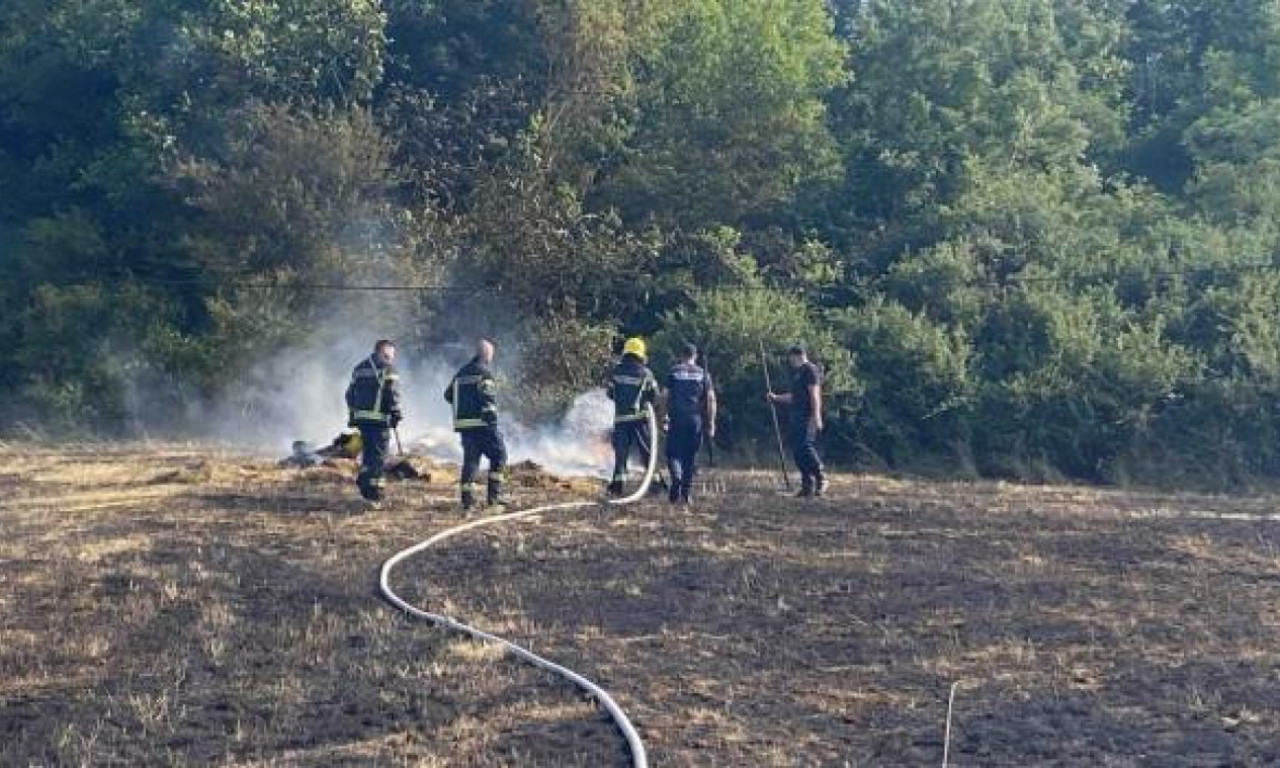 POŽAR U ŠUMARICAMA: Vatra izbila u Spomen parku, vatrogasci odmah reagovali