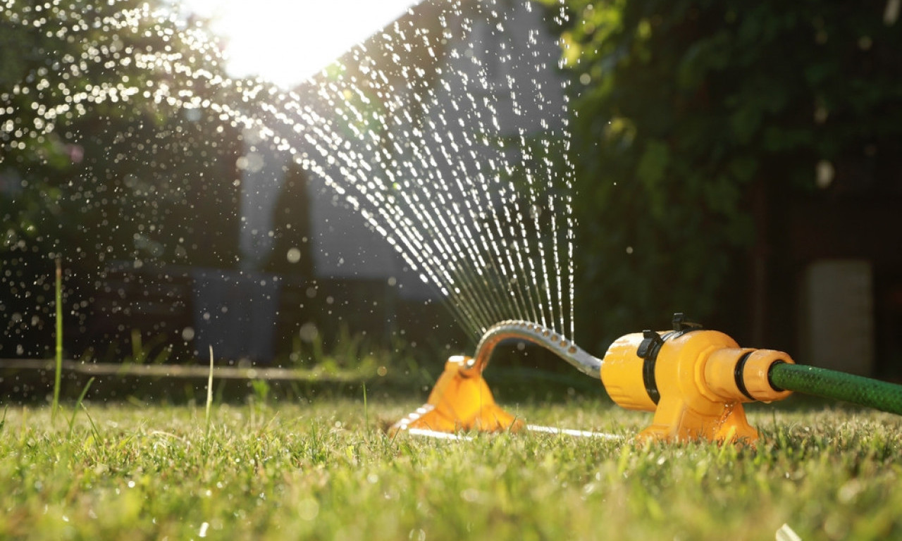 VELIKA GREŠKA KOJU SVI PRAVE Zato vam trava izgleda kao sprženi tepih!