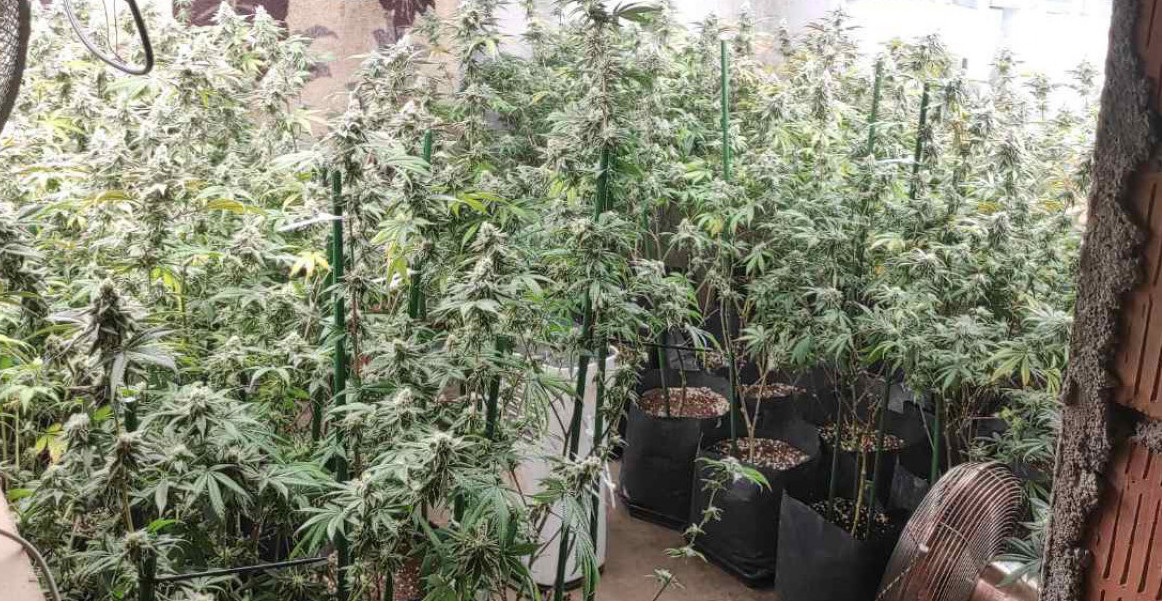 ČAČANIN ZAVRŠIO IZA REŠETAKA! Detalji velike akcije, kad mu je policija upala u kuću usledio pravi šok