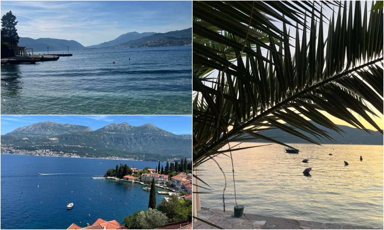 ZAŠTO SVI BEŽE U ROSE Otkrivamo tajnu Boke - čim vidite ovaj skriveni raj Crne Gore, kupićete kartu (FOTO)