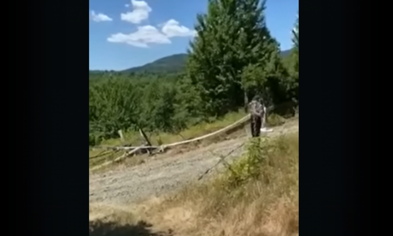 OVDE JE BAKA JELA BRUTALNO UBIJENA! Prvi snimak sa mesta krvoprolića (VIDEO)