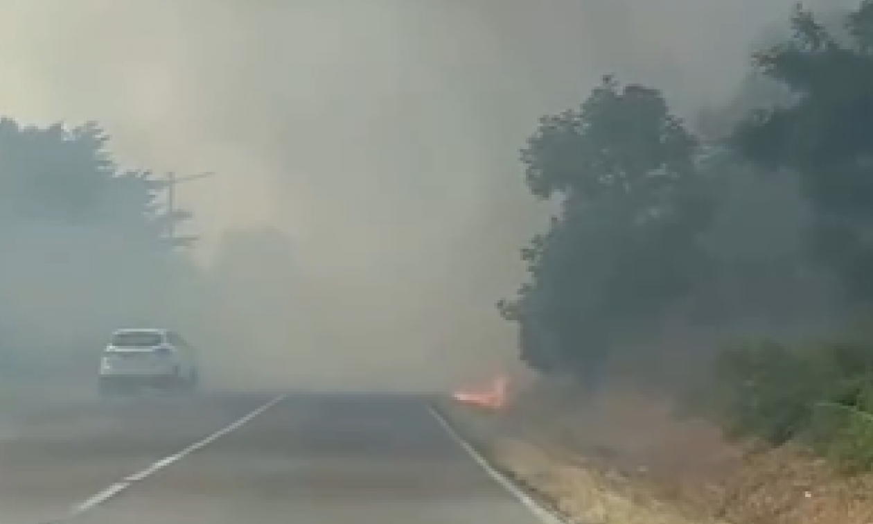 VATRA GUTA LIVADU KOD BOLEČA: Požar kod puta, gust dim otežava vožnju – vatrogasci na terenu! (VIDEO)