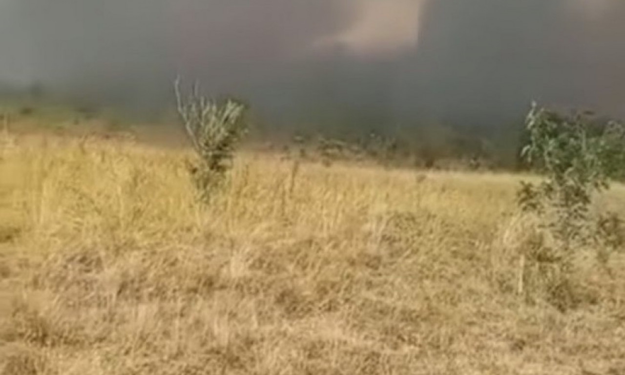 VATRA SE ŠIRI NEVEROVATNOM BRZINOM Veliki požar kod Golupca – evo šta je sada ugroženo (VIDEO)